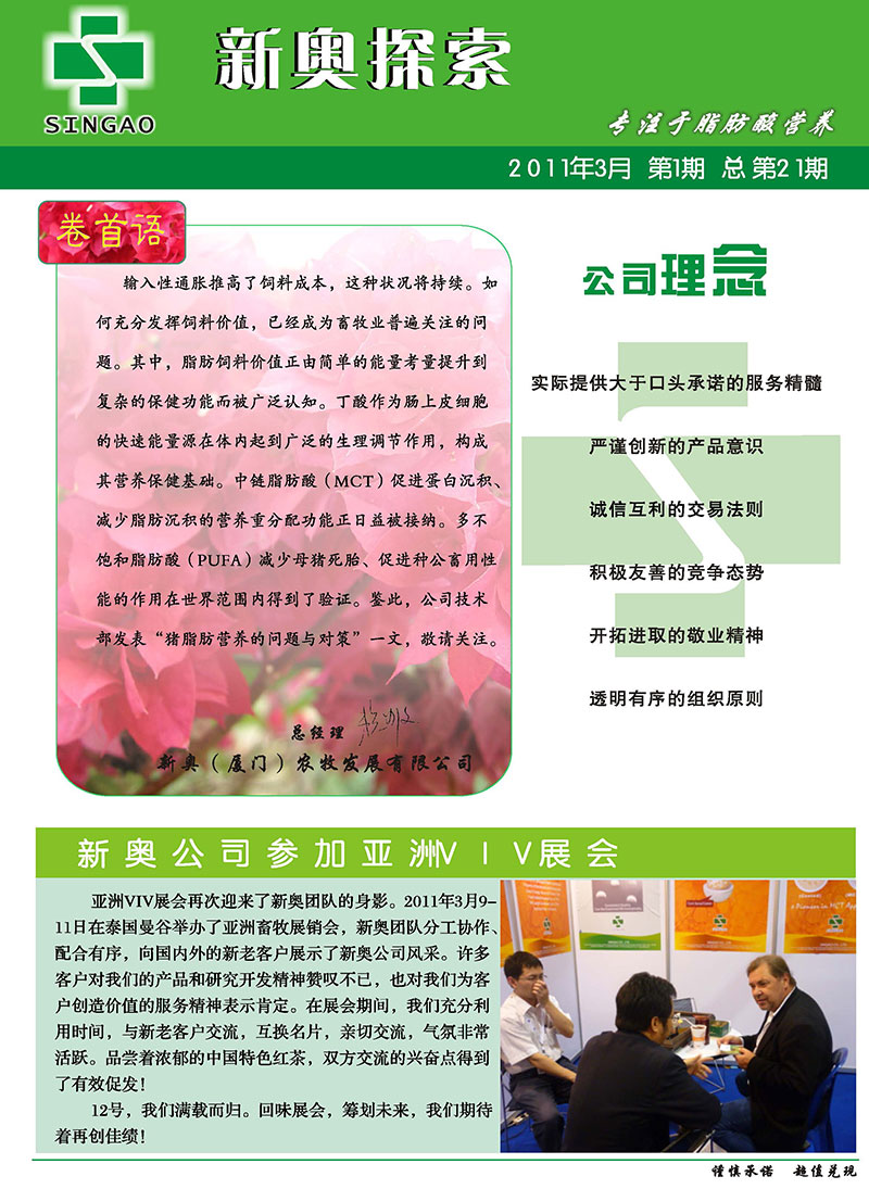 新澳2025精准正版資料，详细解答、解释与落实